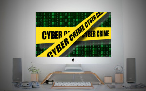 Cyber-crime 1
